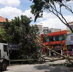 Forte ventania interrompe energia para 13% dos consumidores da região metropolitana de SP