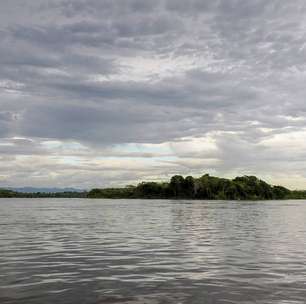 Há hipopótamos selvagens na Colômbia e eles viraram atração turística