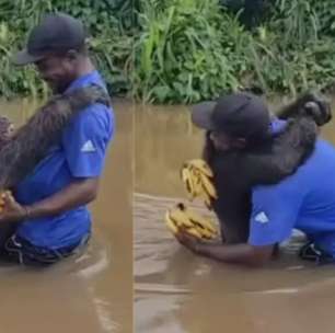 Viralizou: macaco reconhece antigo cuidador e corre para abraçá-lo