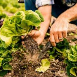 Mesmo com Black Friday, Varejo Tem Queda de 1,6% em Novembro, Aponta Índice Stone