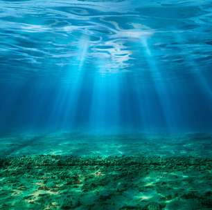 O fundo do oceano está fixando carbono de uma maneira que ninguém imaginava