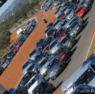 Entenda o que é o golpe da CNH Social e saiba como se proteger