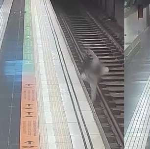 Homem é salvo por policial de folga após cair nos trilhos do metrô em Barcelona