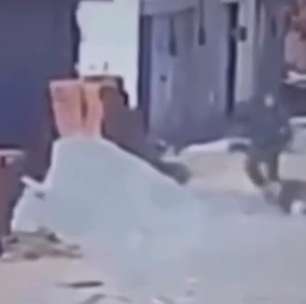 Vídeo mostra ação de PM que atirou e matou pitbull após cão atacar seu poodle de estimação no Ceará