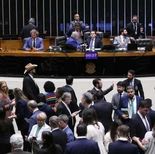 'Só bolsonarismo entendeu importância das eleições para o Congresso', diz cientista política