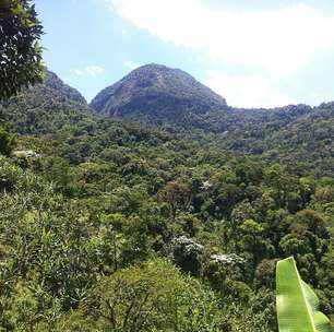 Cachoeiras de Macacu se destaca como destino de ecoturismo no interior do Rio de Janeiro