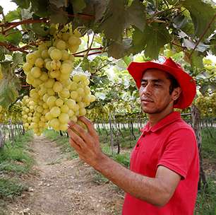 Unesp abre mestrado para assentados e quilombolas em 2026