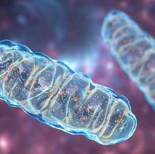 Síndrome de Leigh: entendendo a doença, seus sintomas e cuidados