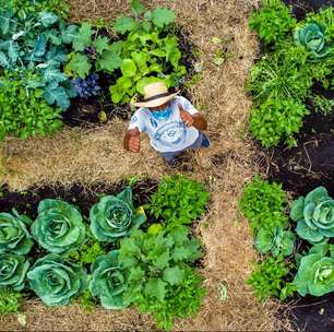 Nova Lei da Agricultura Urbana de Curitiba segue para sanção