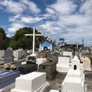 Projeto de lei Estadual vai permitir sepultamento de cães e gatos em jazigos de seus tutores