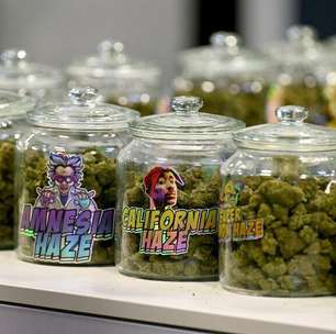EUA: Trump propõe reclassificar maconha para categoria menos 'perigosa' e facilita pesquisas médicas