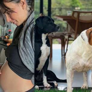 Clara Maia fala sobre seus cachorros e explica decisão de deixá-los sob cuidados de pessoa de confiança