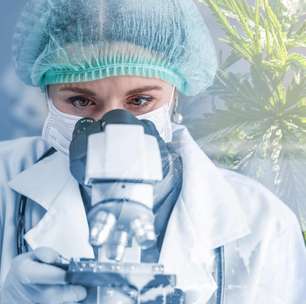 Acesso à Cannabis medicinal cresce e exige segurança