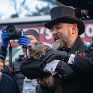 Lenda ou instinto? Animais que parecem 'prever' o tempo