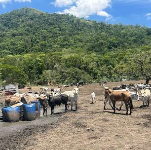 Denúncia leva ação em Bangu: fiscalização encontra abatedouro irregular