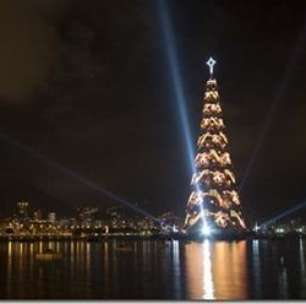 História da Árvore de Natal da Lagoa, que voltou a ser montada este ano
