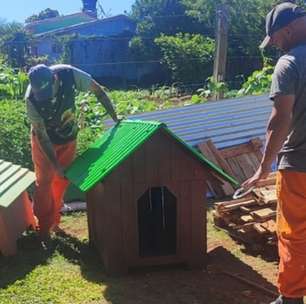Apenados no RS constroem casinhas para cães de ONGs
