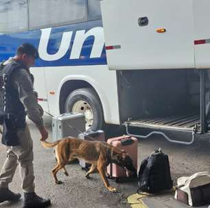 Operação Boas-Vindas intensifica fiscalização para coibir drogas no litoral norte