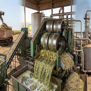 Milhões de toneladas de cana moídas e fermentadas: é assim que a indústria transforma o campo em açúcar e etanol para o Brasil