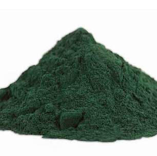 Alga poderosa: spirulina se destaca no auxílio à anemia e à menopausa