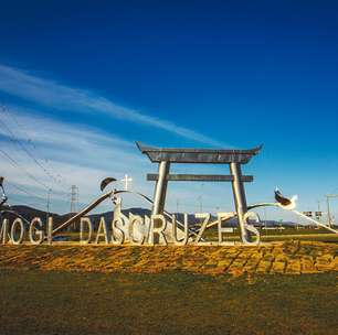 Avenida das Orquídeas ganha monumento do escultor mogiano Rodrigo Bittencourt