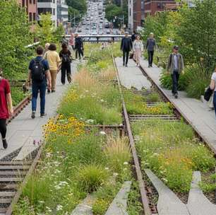 O parque elevado que regenerou bairros inteiros e redefiniu a qualidade de vida urbana