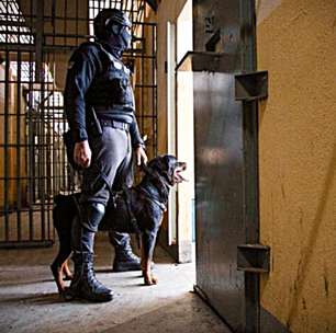 Governo do RS investe em cães de trabalho para fortalecer ações no sistema prisional