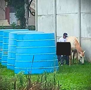 Homem é pego no flagra praticando Zoofilia contra uma égua no RS