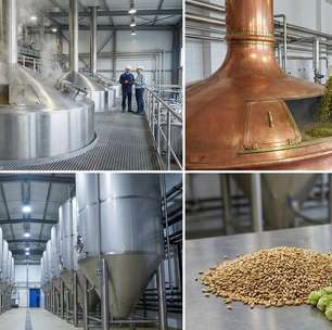 Toneladas de malte, milhões de litros de água e semanas de fermentação: é assim que a engenharia transforma grãos na cerveja do seu copo