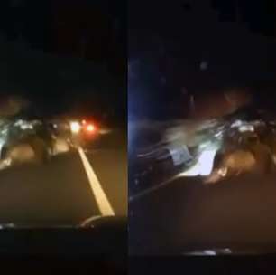 Vídeo mostra acidente na BR-101 que matou quatro pessoas da mesma família no ES