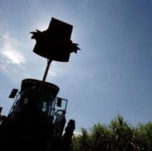 Como os Investidores Internacionais Coroaram o Ano de Ouro da Bolsa Brasileira