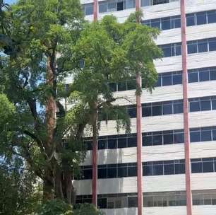 Emanuel Alencar: O fim do bosque do Barão e a normalização do domínio do concreto