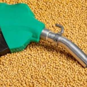 Por Que a Maioria dos Brasileiros Quer Mudar de Emprego em 2026?