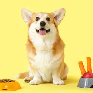 9 sabores que os cachorros mais gostam