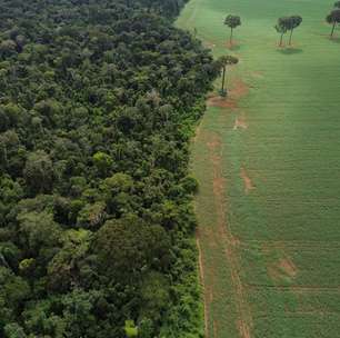 Esvaziamento da Moratória da Soja põe em risco reputação do país, dizem ambientalistas