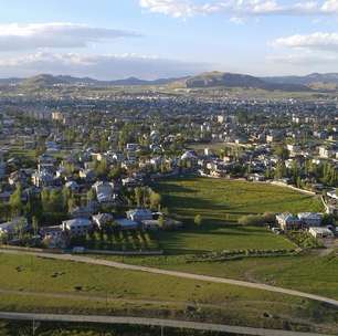 Mistério felino: gatos de Van têm um olho de cada cor