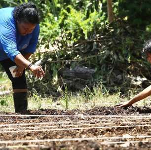 Prefeitura de São Paulo publica catálogo de soluções baseadas na natureza