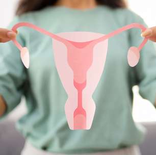 Procura por congelamento de óvulos registra aumento nos últimos anos