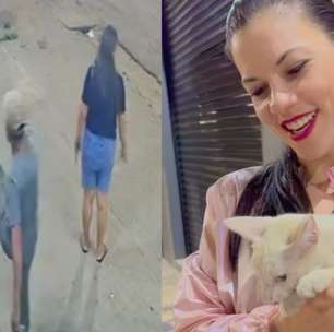 Mulher adota gato que defendeu de agressão no Pará: 'Só agradecer'