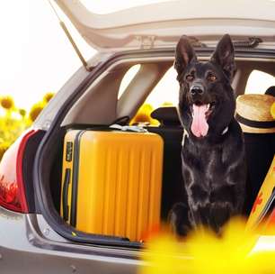 5 cuidados essenciais para viajar com os pets no verão