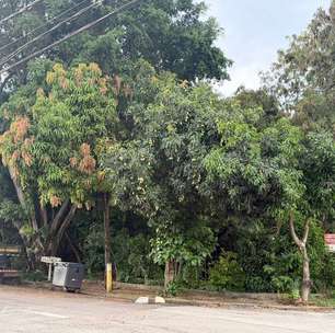 Ministério Público investiga doação de terreno público em Sorocaba
