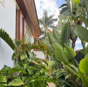 Saiba quais os cuidados essenciais com as plantas no verão