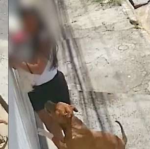 Cachorro da raça pitbull ataca cão na coleira e assusta tutora em São Paulo