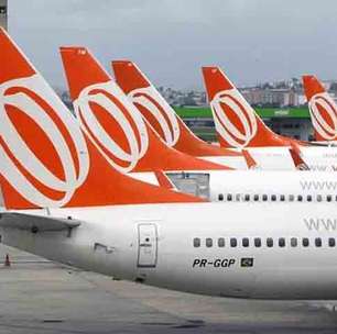 Justiça autoriza coelho de estimação a viajar com a tutora em voo comercial