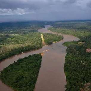 Garimpo ilegal na Terra Indígena Yanomami cai 98% em 2 anos