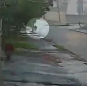 Jovem se agarra a árvore durante tornado no caminho para casa no Paraná