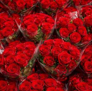 Paolla Oliveira recebe caminhão de rosas e critica o galanteio: "Invasão"