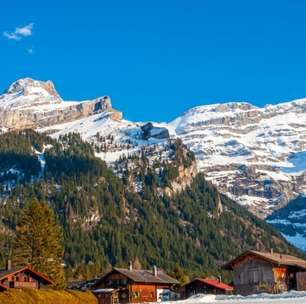 Após cair em fenda de geleira nos Alpes suíços, homem é resgatado graças ao próprio chihuahua