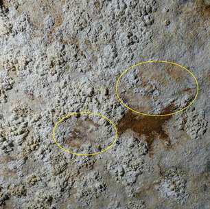 Arte rupestre mais antiga da Humanidade descoberta na Ilha de Sulawesi, na Indonésia