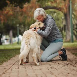 5 dicas para melhorar a comunicação com o seu cão